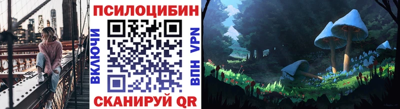 Купить  Починок  Галлюциногенные грибы Cubensis 